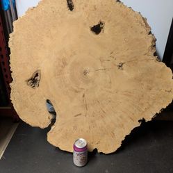 Burl Bird's Eye Maple Round