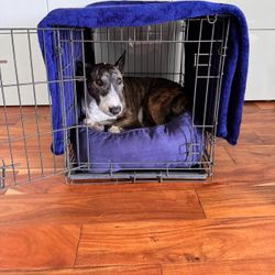 Dog crate 