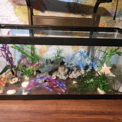 Aquarium 