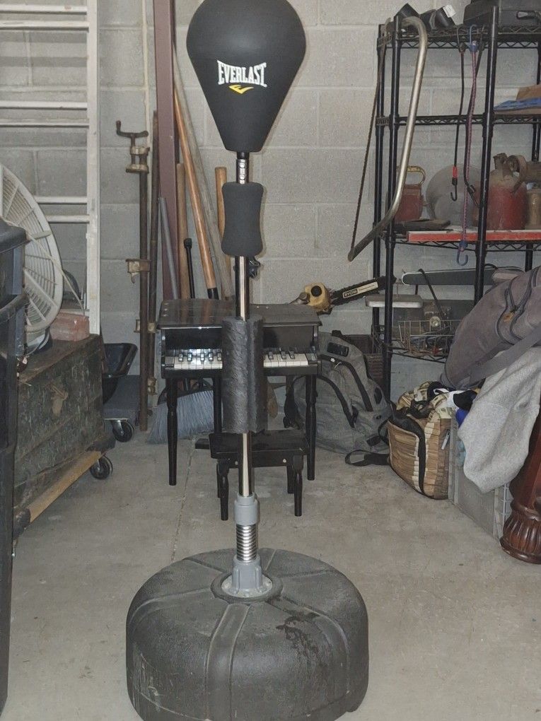 Punching Bag