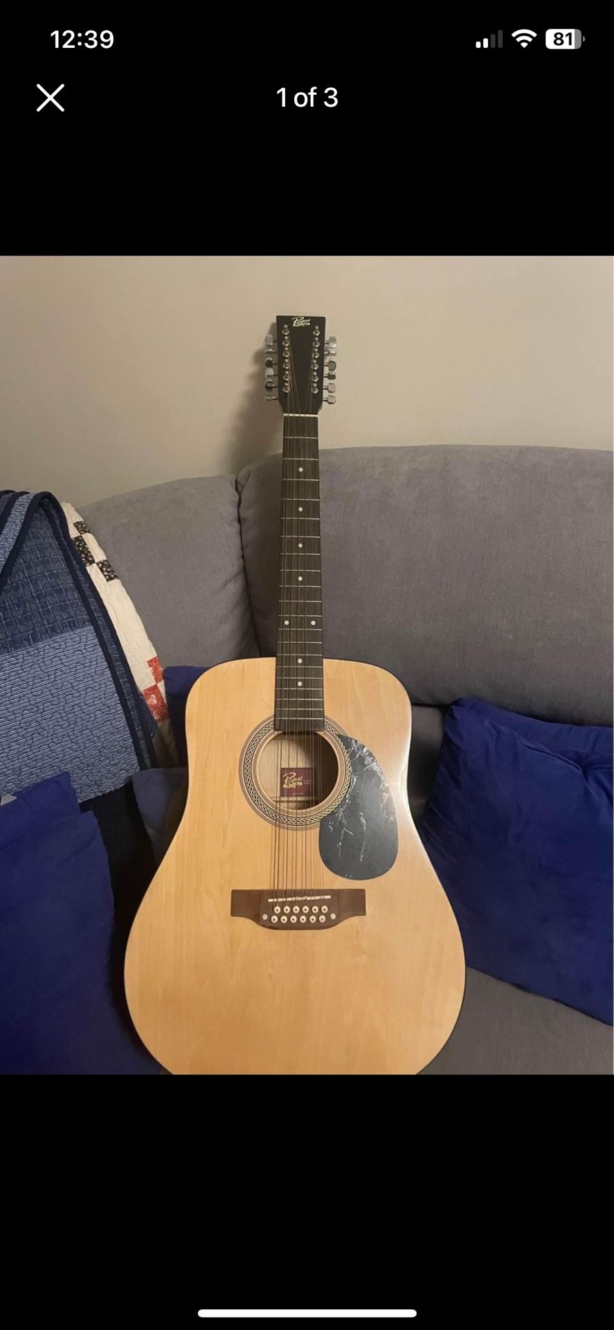 Rogue 12 String Guitar