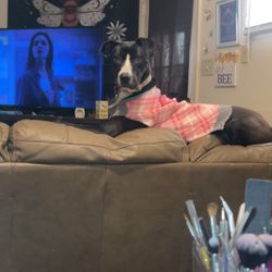 Lab Mixed 