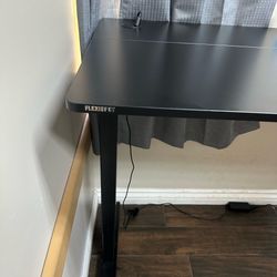 Flexispot Electric Standing Desk Sit/Stand