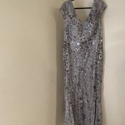 Plus Size Silver Dress 