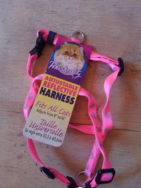Cat harness