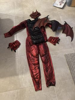 Lizard Costume