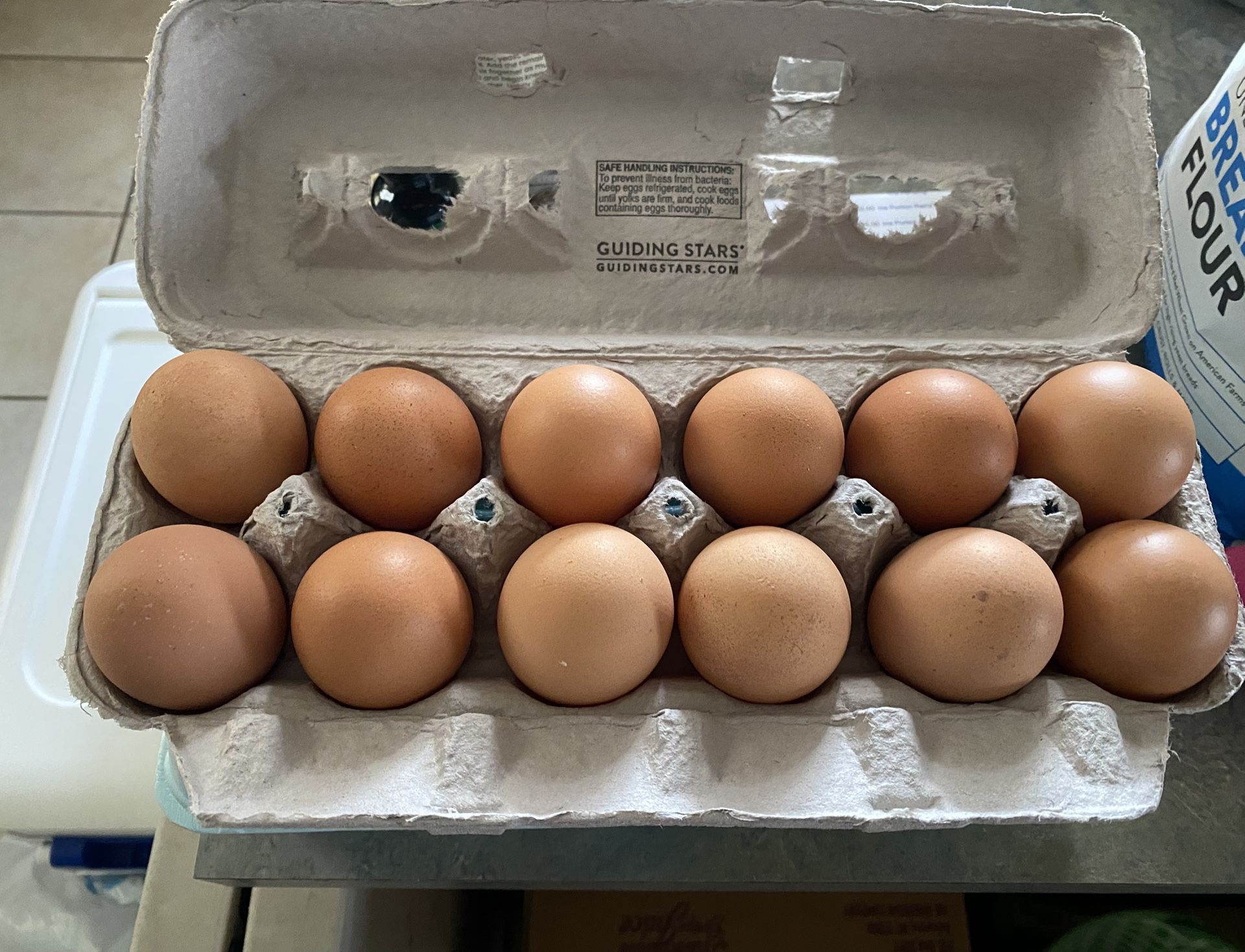 Fresh Eggs