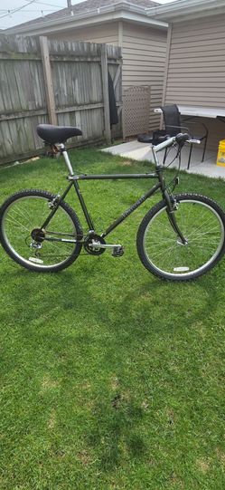 Bianchi Mountain Bike with extras