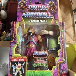 Masters Of The Universe TMNT Lot Of 2