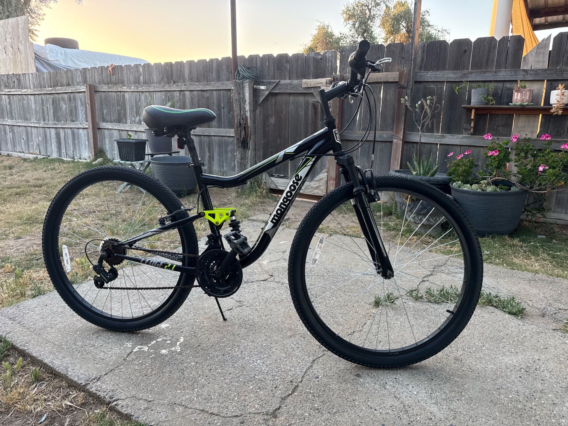Mountain bike