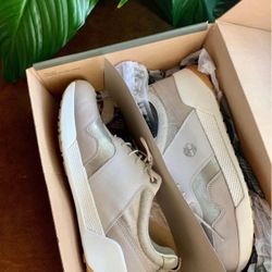 Brand new Leather Timberland Gold sneakers, size 11M 