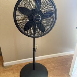 fan