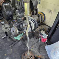 Weight Plates & Curl Bar 