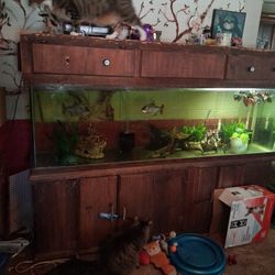 125 Gallon Fresh Water Aquarium 