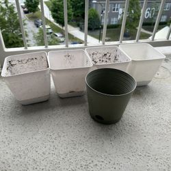 Plant Pots