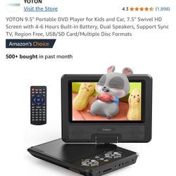 Portable Video Player