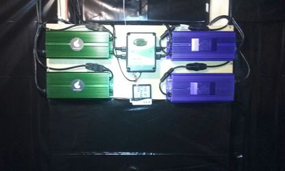 600 watt grow ballast