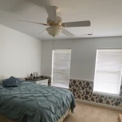 Ceiling Fan
