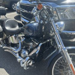 2008 Soft tail custom 