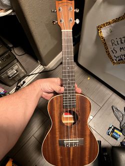 Acoustic Electric Ukelele w Built In tuner