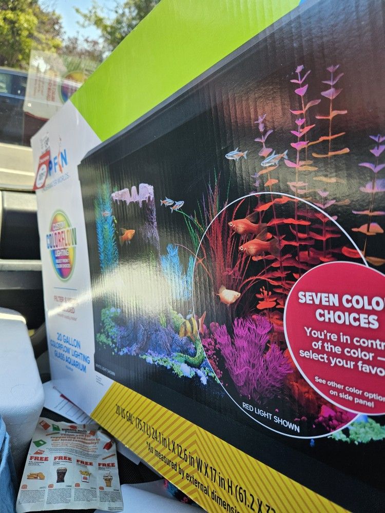 20 Gallon Tank