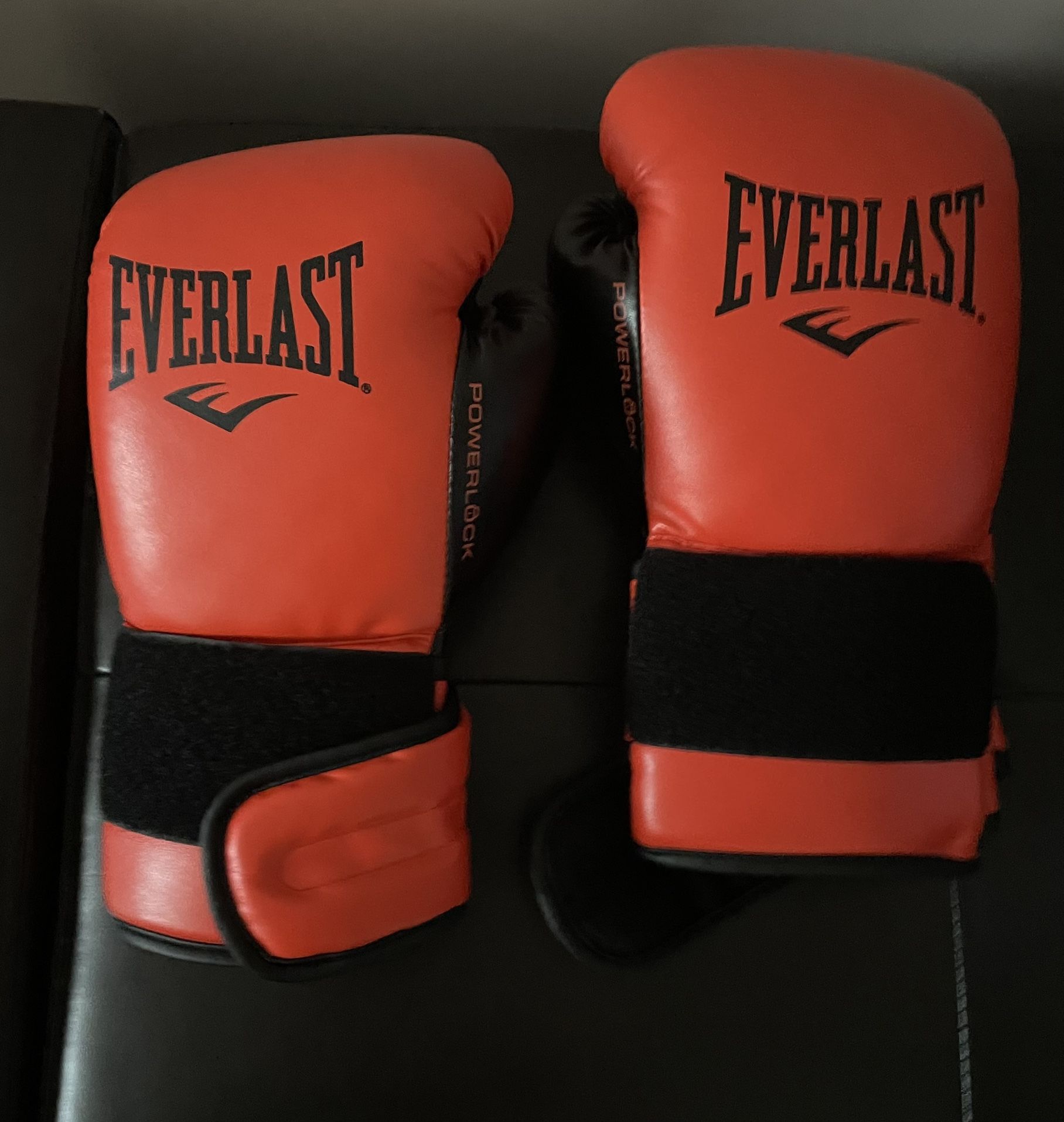 Boxing Gloves Everlast 12 Oz