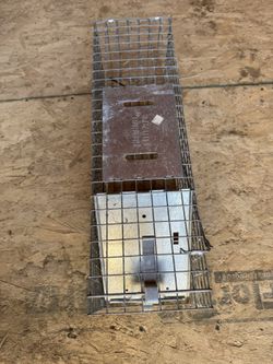 Rodent Trap