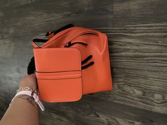 Orange Reddish Back Pack 