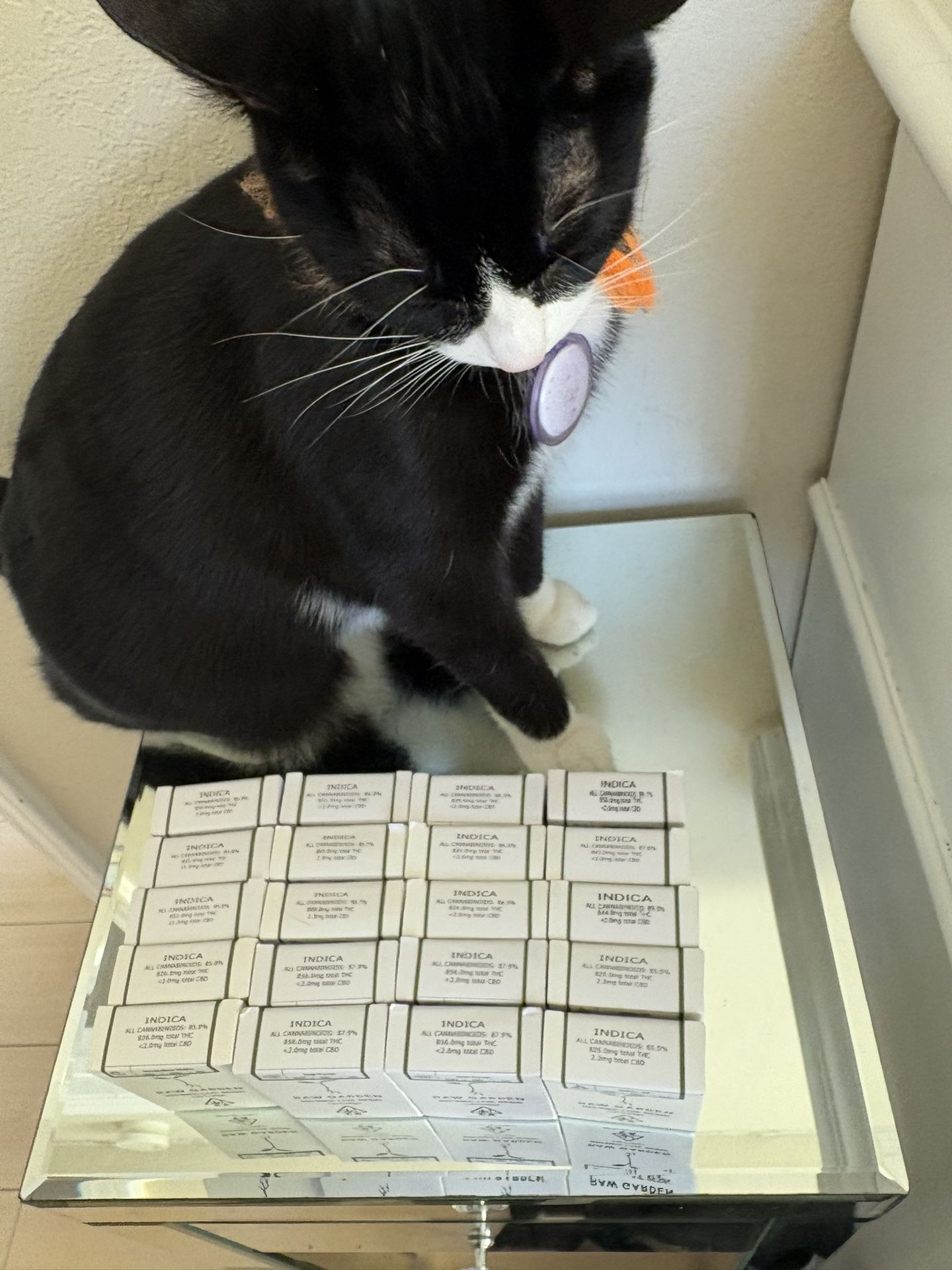 Raw Garden Dispo ( Screw Ons )