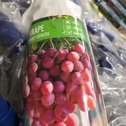 1ft Einset Red Seedless Grape Seedling Plant