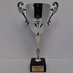 NPC Vancouver USA 2012 Bodybuilding Fitness Championship 1st Place Trophy  18"