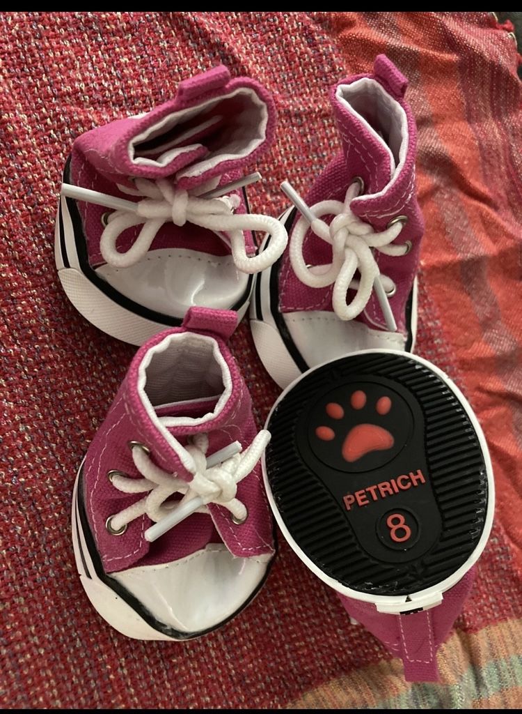 Pink Dog Shoes