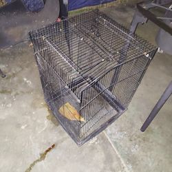 Bird Cage