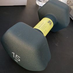 1 Dumbell, 15lbs, Target Brand