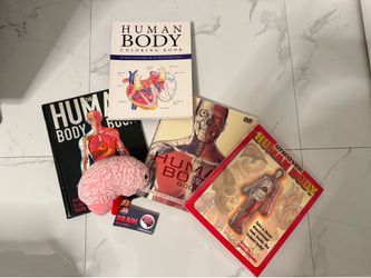 NEW Human Body Book Bundle