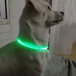Fiber Optic LED Dog Collar Flashing Light Waterproof