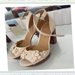 Event Fashion Shine with Sophisticated and Modern Styles term join