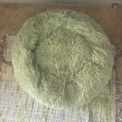 Free pet bed
