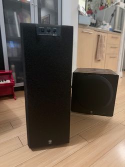 Subwoofers for home entertainment system (2) $70-120