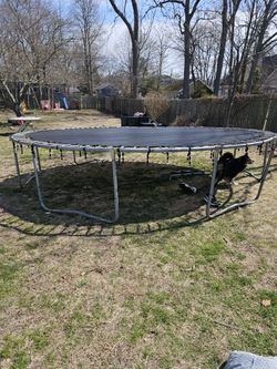 Trampoline 