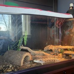 Reptile Enclosure