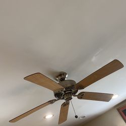 Fan 