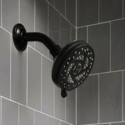 Moen - Fixed Shower Head $25 - New