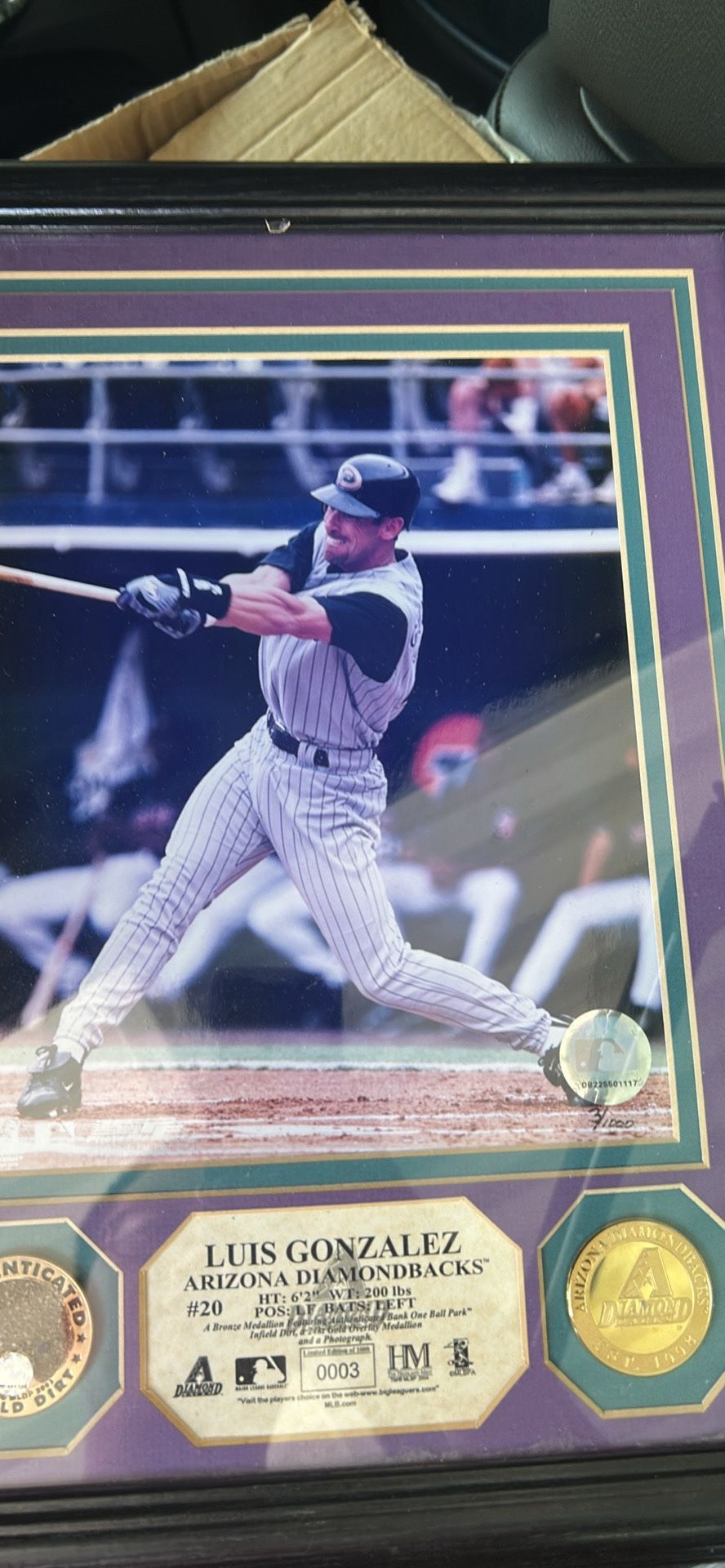 Luis Gonzalez Framed Photo