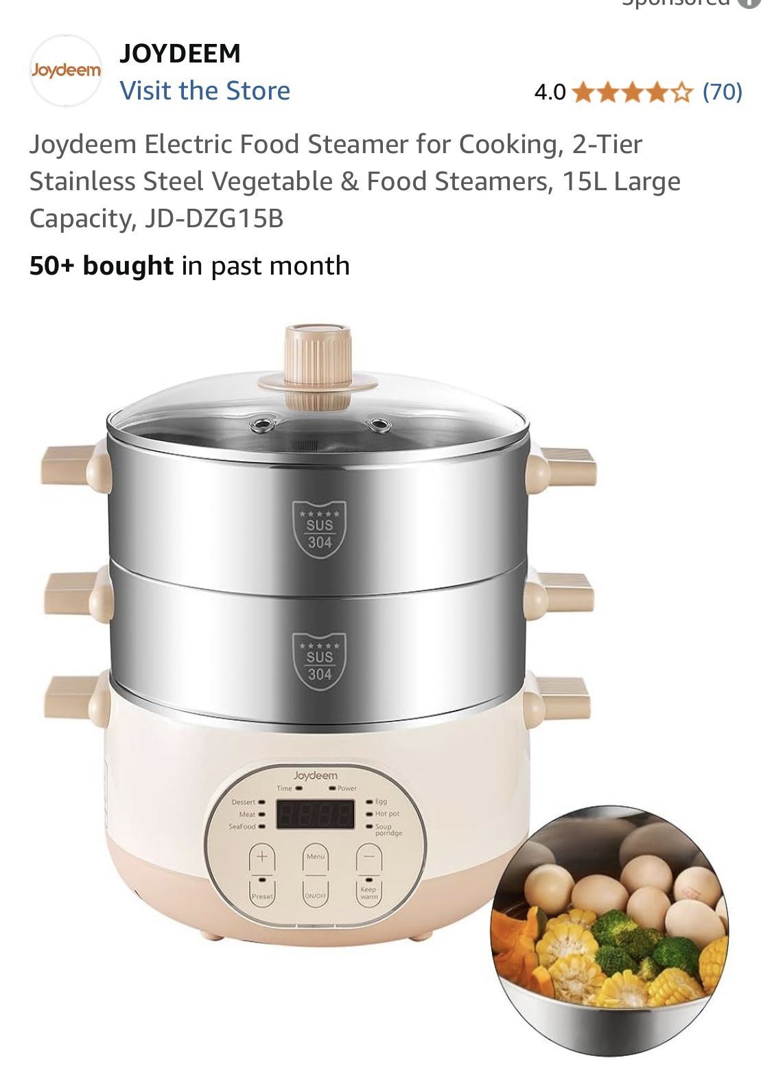 Joydeem Steamer