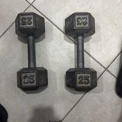 2x25 dumbellls
