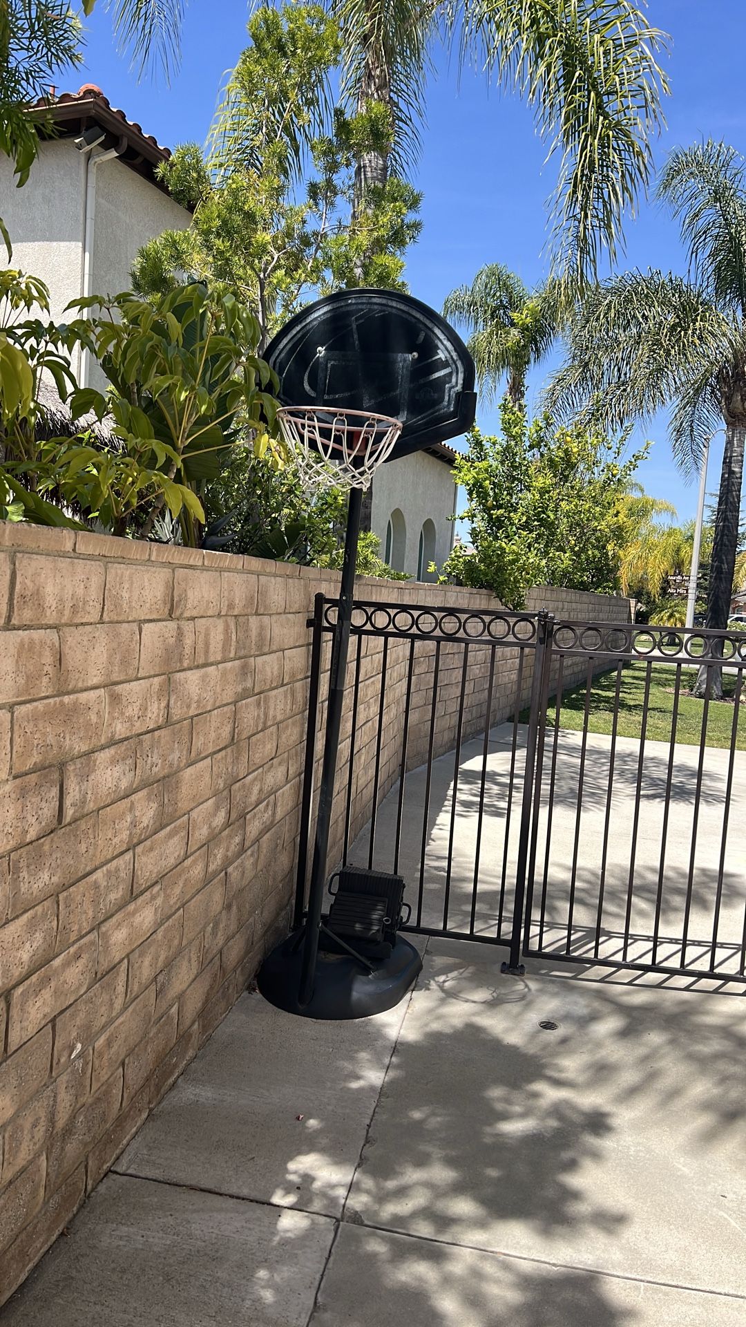 Basket ball hoop