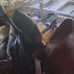Bag Of Purses 
