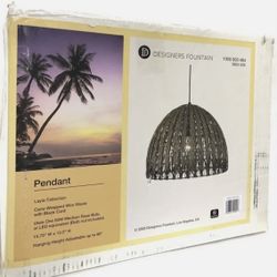 Designers Fountain Layla 1-Light Stained Cane with Black Accents Hanging Pendant