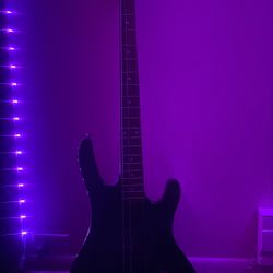 Bass Guitar